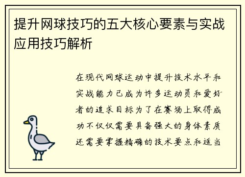 提升网球技巧的五大核心要素与实战应用技巧解析